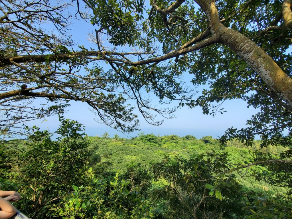 高雄柴山封面圖