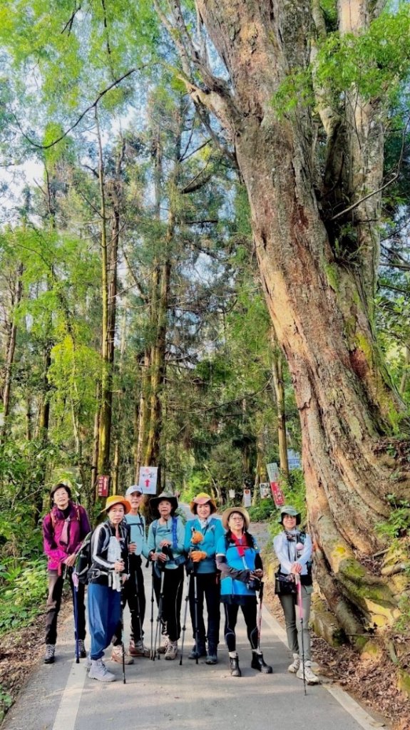 巴蜈縱走_2749300