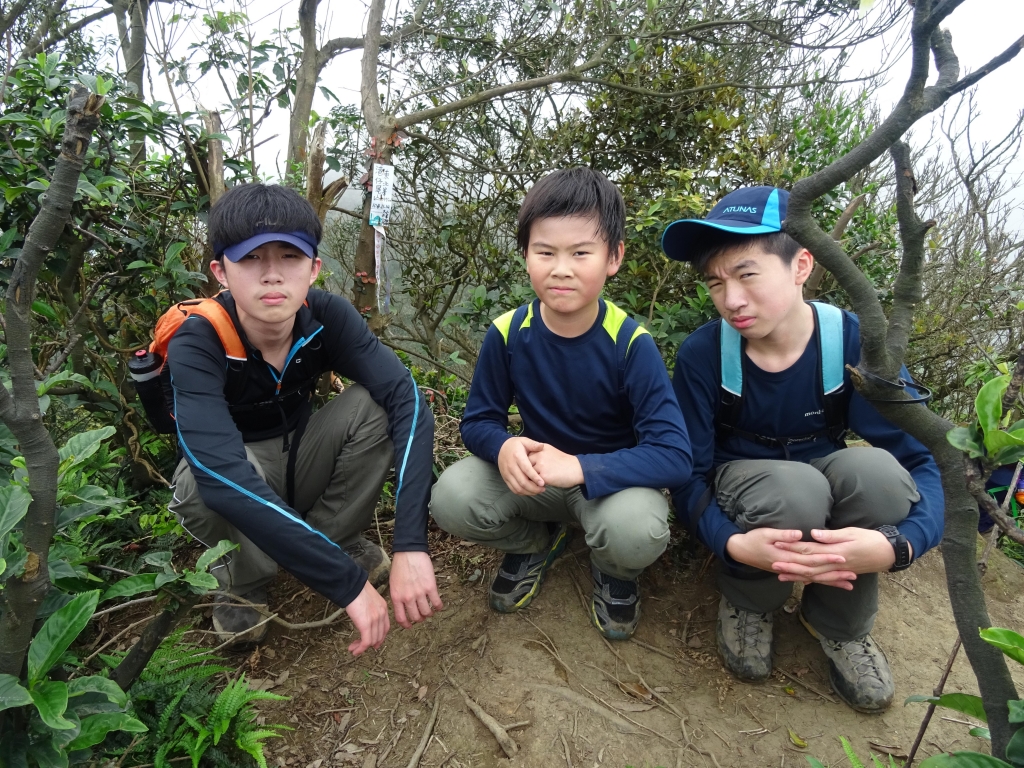 家人的同遊 深澳山港仔尾山蕃仔澳山8型PaPa走_52262