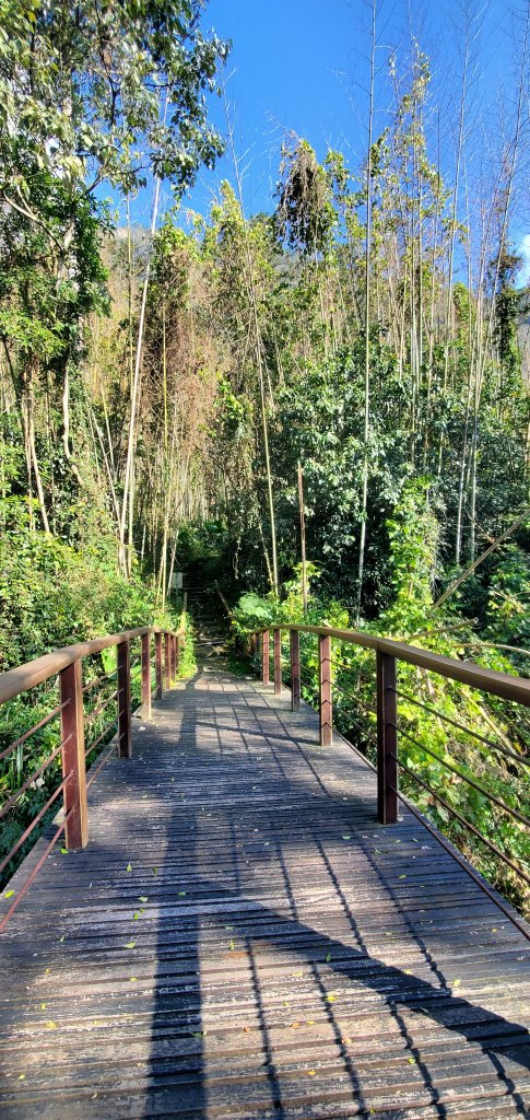 2025-01-30迷糊步道_2704448