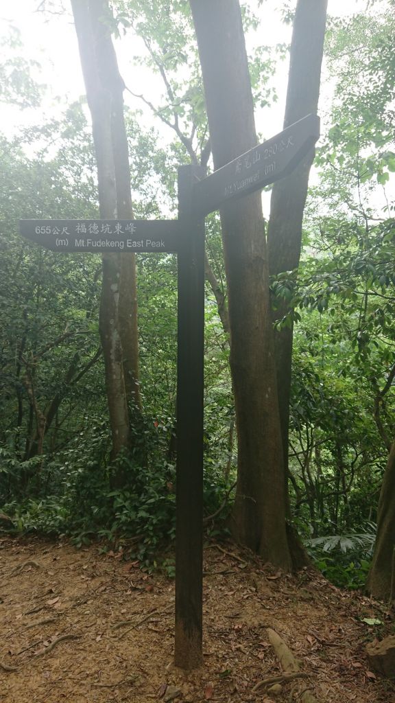 20180520與家人們同遊鳶山_335132