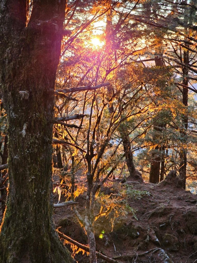 2024.02.13-16 新康橫斷_2438857