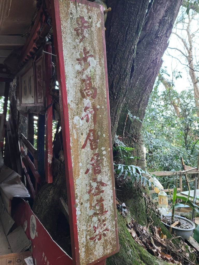 走了一個大O_2723390