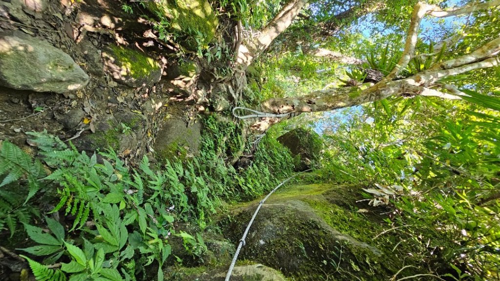 【暑假停課不停走】解鎖第49座小百岳#093都蘭山_2822525