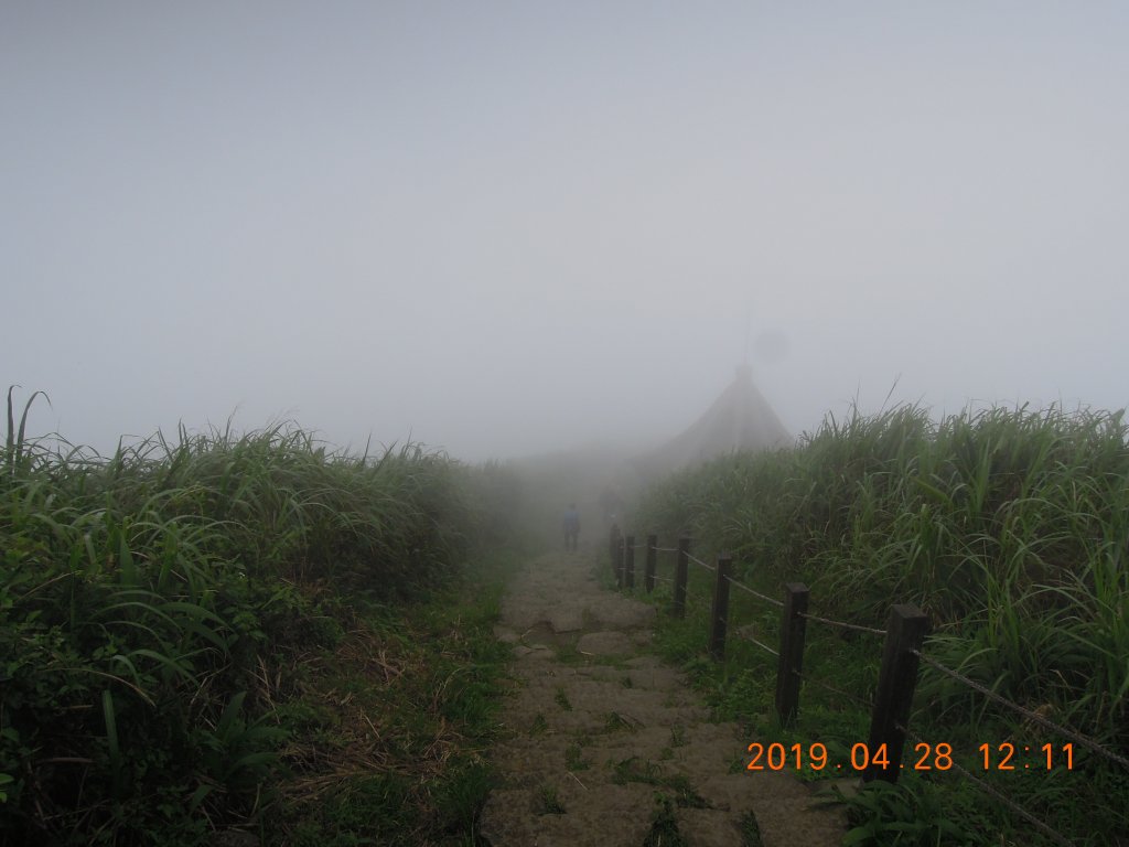 20190428_焿子寮古道基隆山_841366