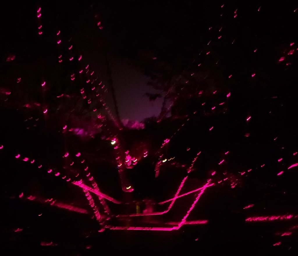 虎形山步道(空山祭-龍火餘燼)_2400639