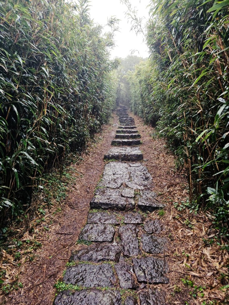 2025臺北大縱走第二段：二子坪至小油坑_2973502