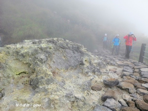 台北市第一高峰。 編號02小百岳七星山_1235314