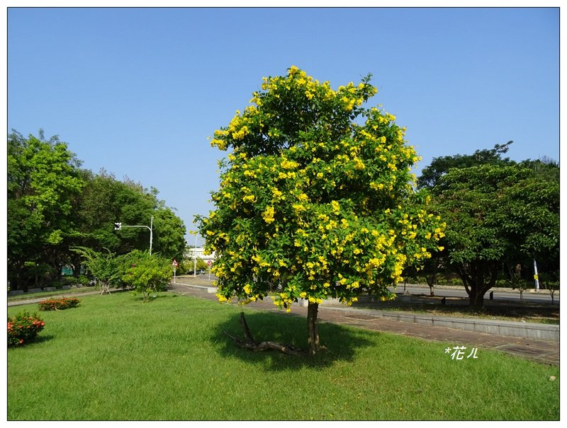 嘉義/228公園步道_685363