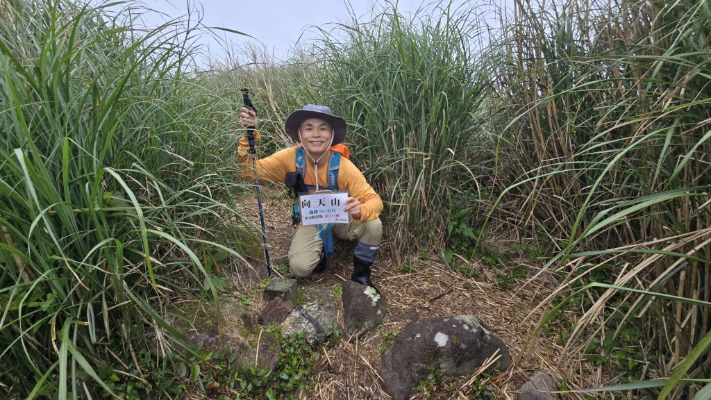 陽明山優質經典步道，興福寮古道，雲霧繚繞的向天池封面圖