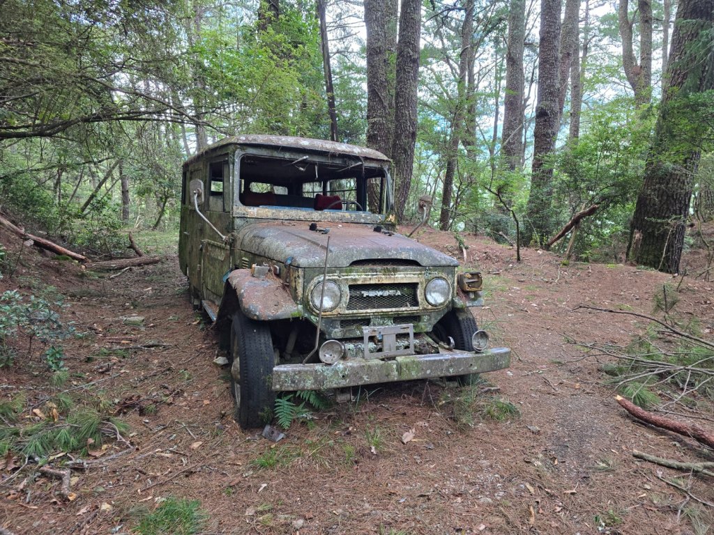 觀高山屋／龍貓公車／八通關山／八通關山西峰封面圖