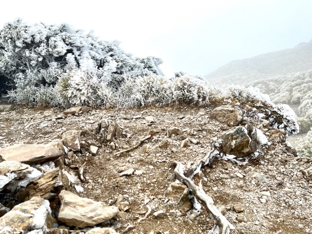 霧淞白頭合歡東_2071739