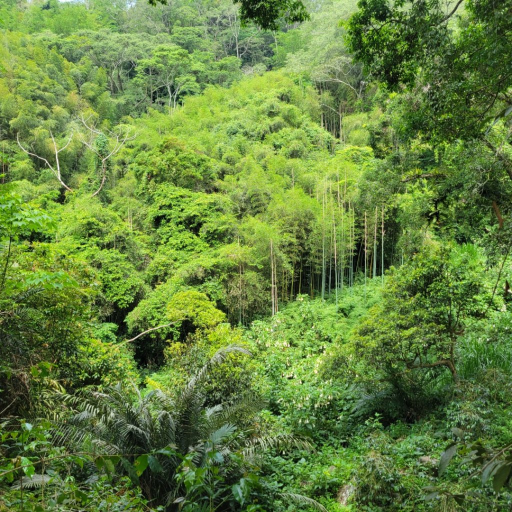 雅吾瑪斯步道_1704125