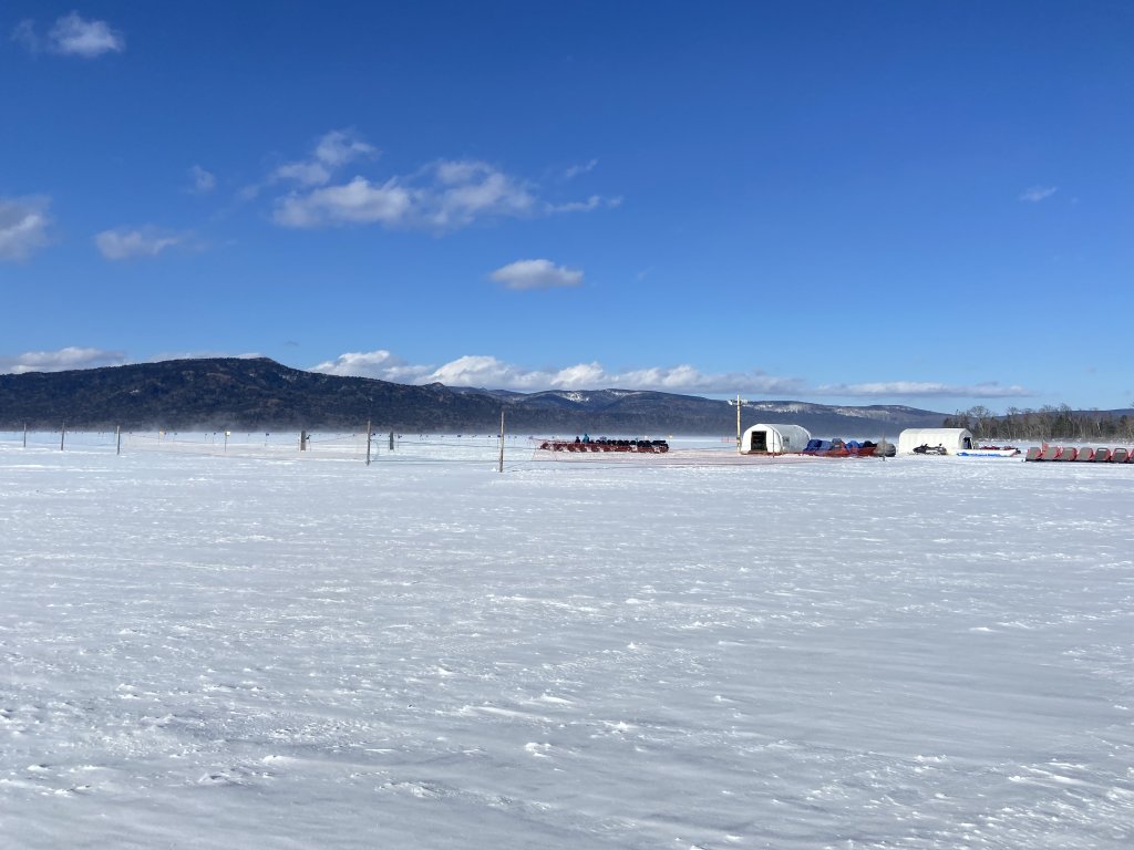 北海道------雪祭_3001916