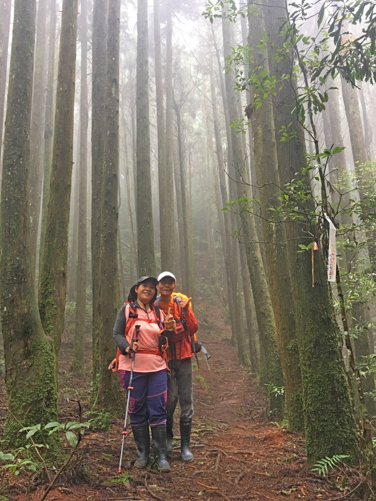 大雪山大崠山避暑趣2019/7/21_634455