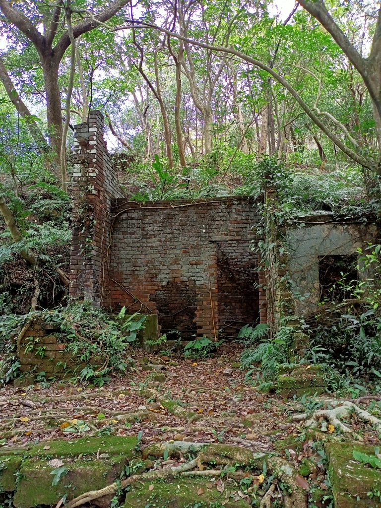 【三湖縱走】內湖大湖公園→康樂山→明舉山→內溝溪生態展示館→汐止內溝山→翠湖→金龍湖_2072537