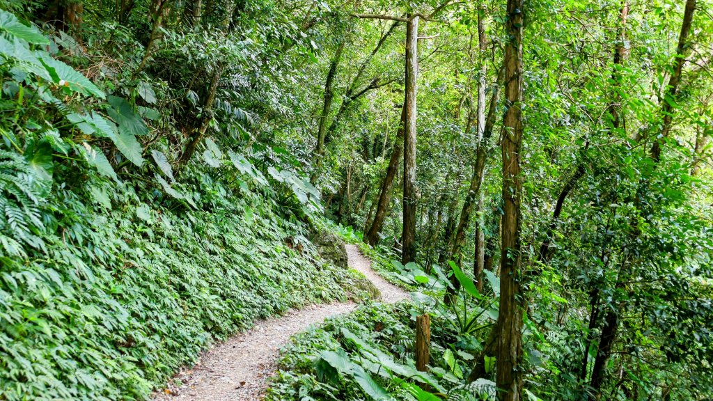 雲森瀑布_2872196