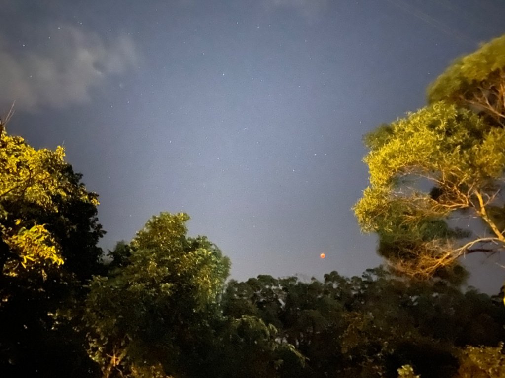 大坑9-10號（傍晚到夜晚）_1926492