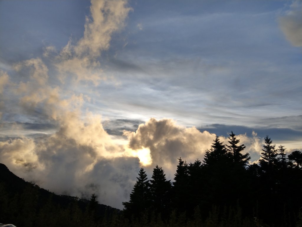 武陵四秀_1024475