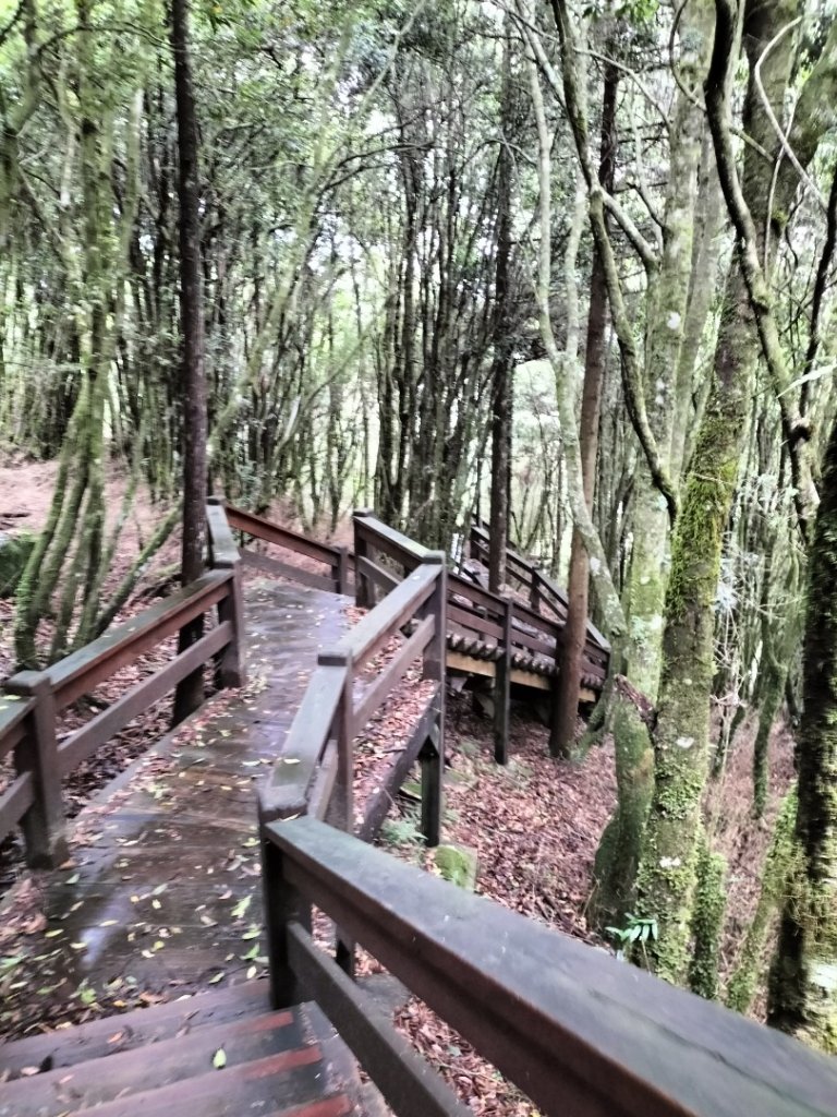 檜山巨木群步道_2250271
