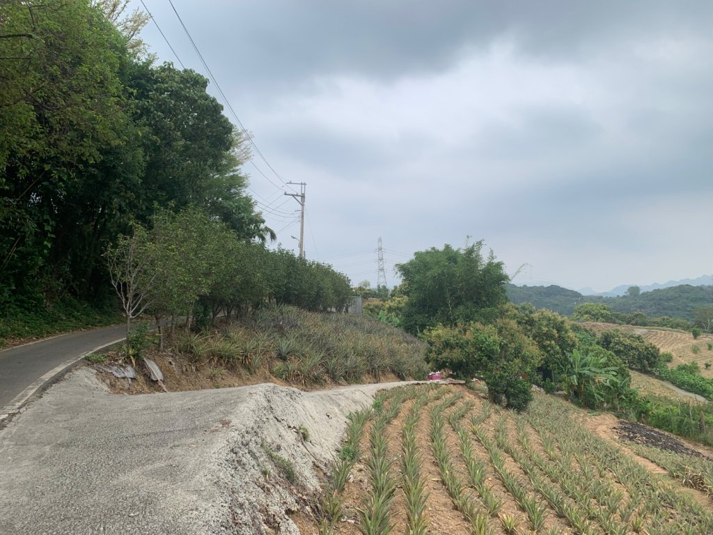 阿罩霧山、中心瓏步道_2768927