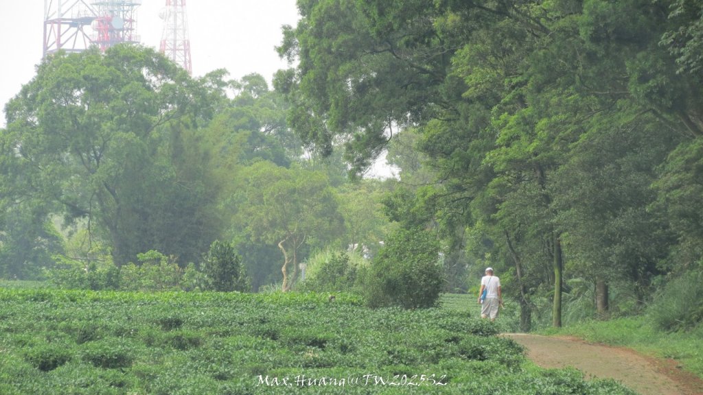 《苗栗》桐花茶園｜四月雪小徑登慈濟山三義山20250427_2771237