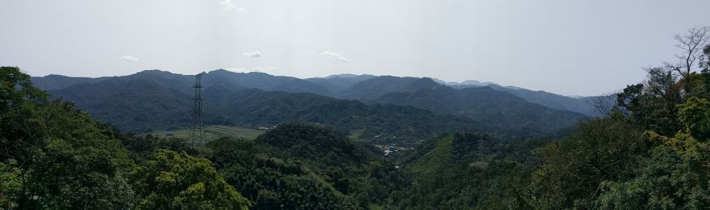 土城天上山五城山將軍嶺綠野香坡社區_285790