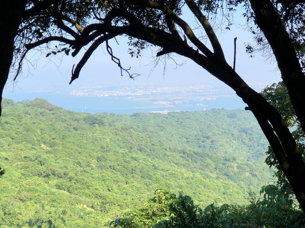 2021.11.14柴山_1517143