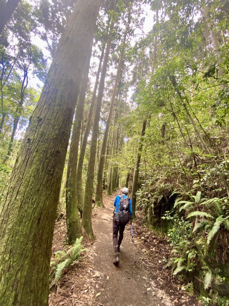 橫嶺山-沙蓮山-笛吹山連走    2022/7/5_1754748