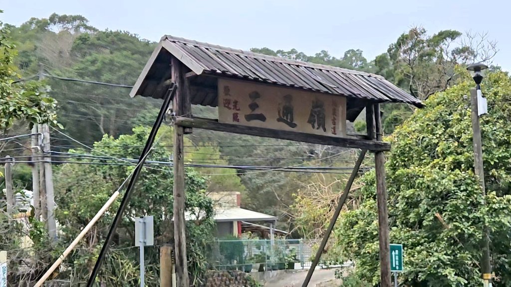 20260127三通嶺山.三義山(大桁茂山).慈濟山.大坪山大O走_2989943