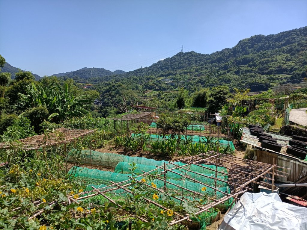 大縱走第七段-茶香縱走_1474573
