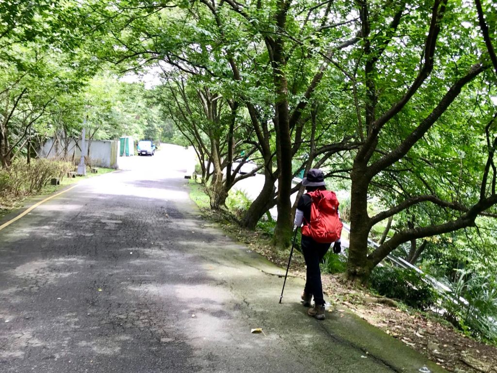 汐止大尖山連走四分尾山_350299