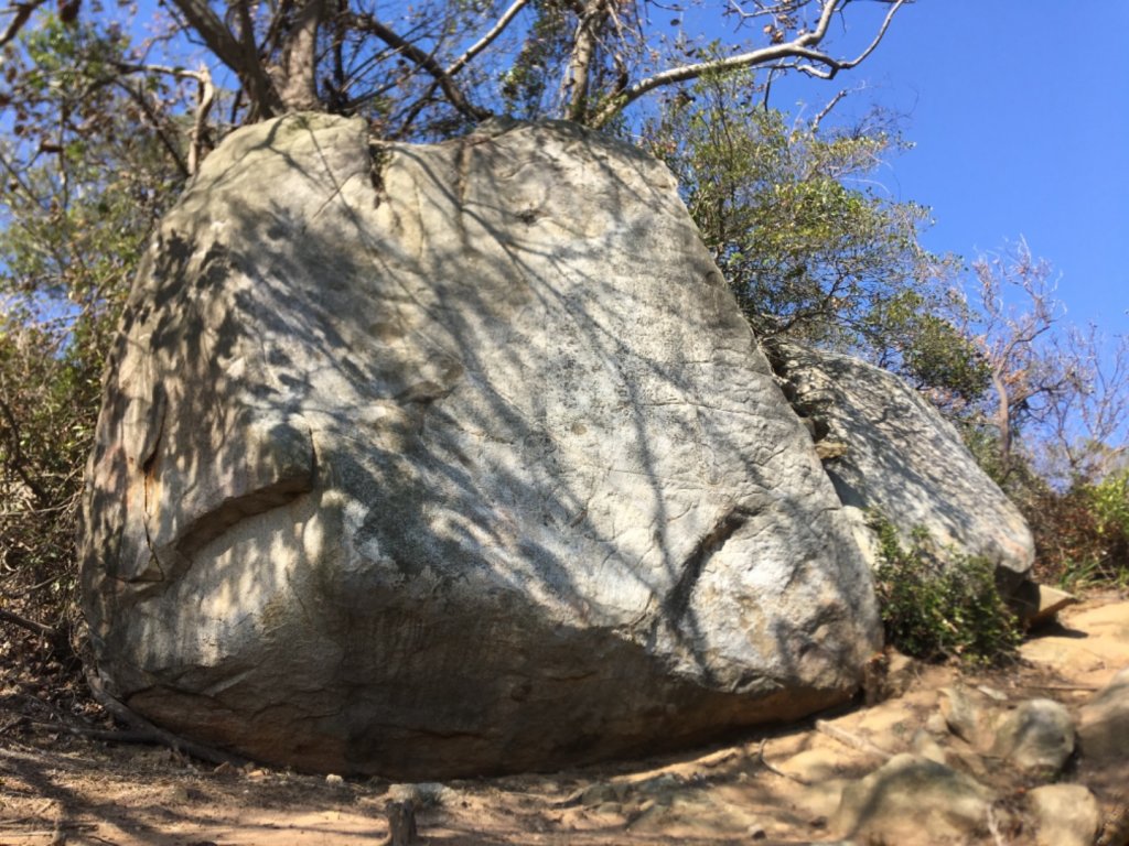 太武山蔡厝往斗門O型路線_1222927