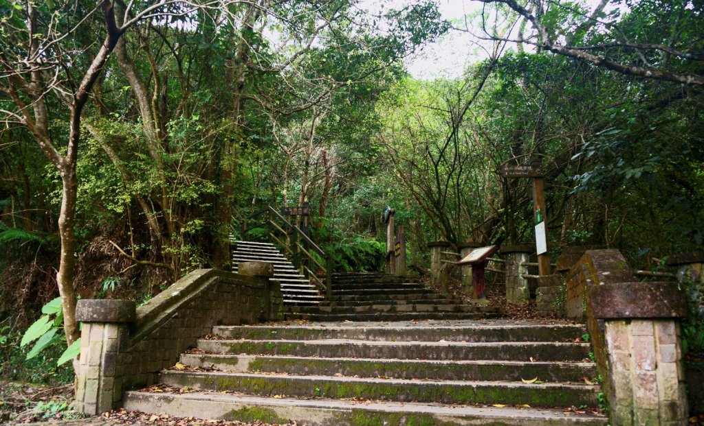 大崙頭尾山 O型_1328376