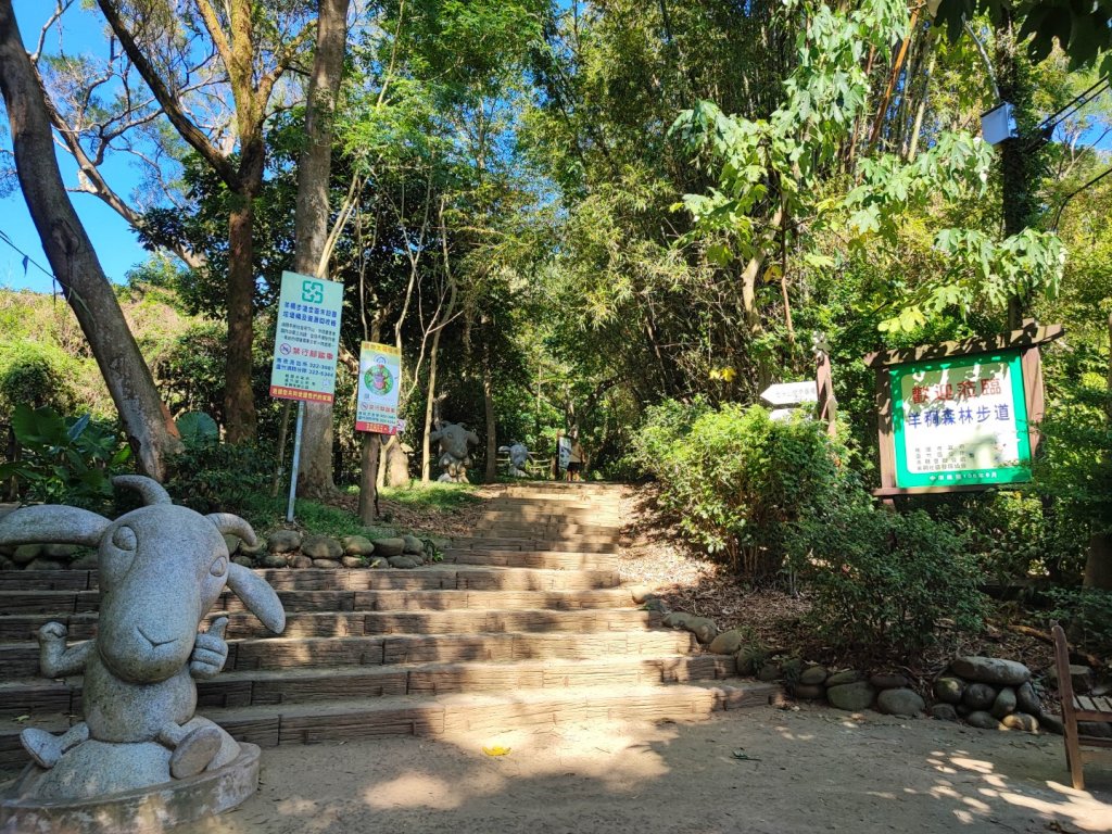 羊稠森林步道 - (桃園)臺灣百大必訪步道封面圖