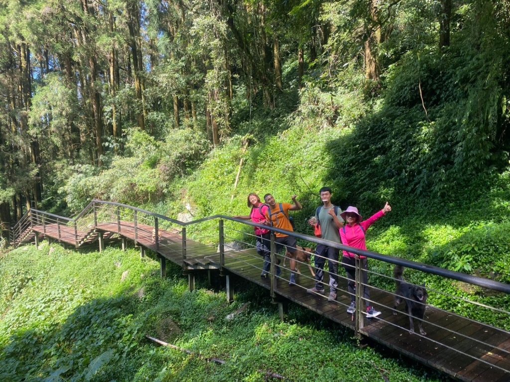 奮起湖環狀步道、麻竹湖步道_2638114