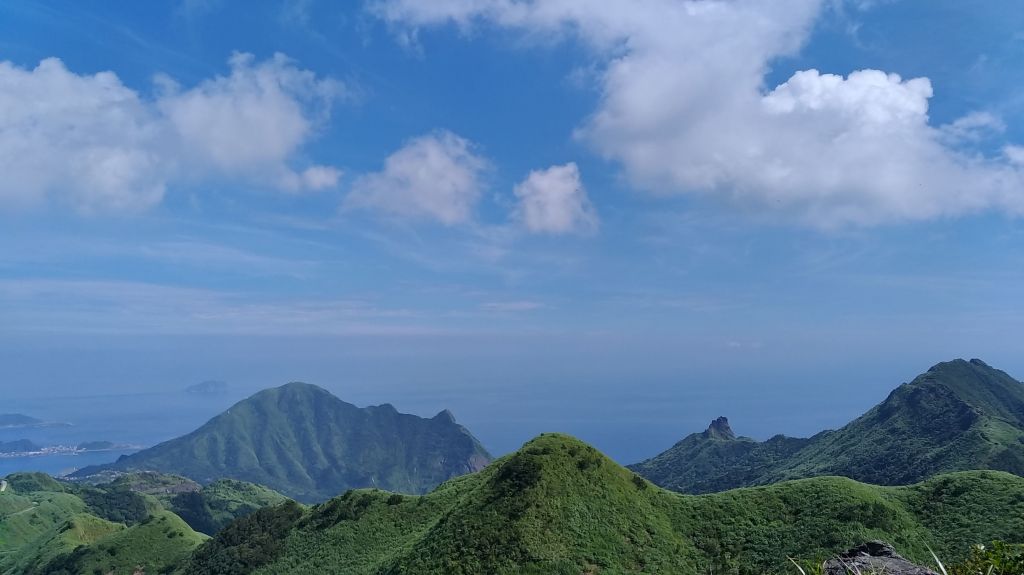 燦光寮山、黃金三稜_141673