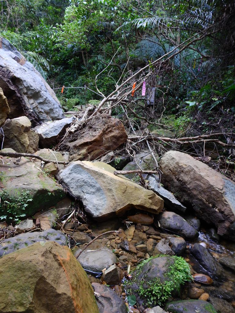 孝子山步道連走東勢格越嶺古道_197030