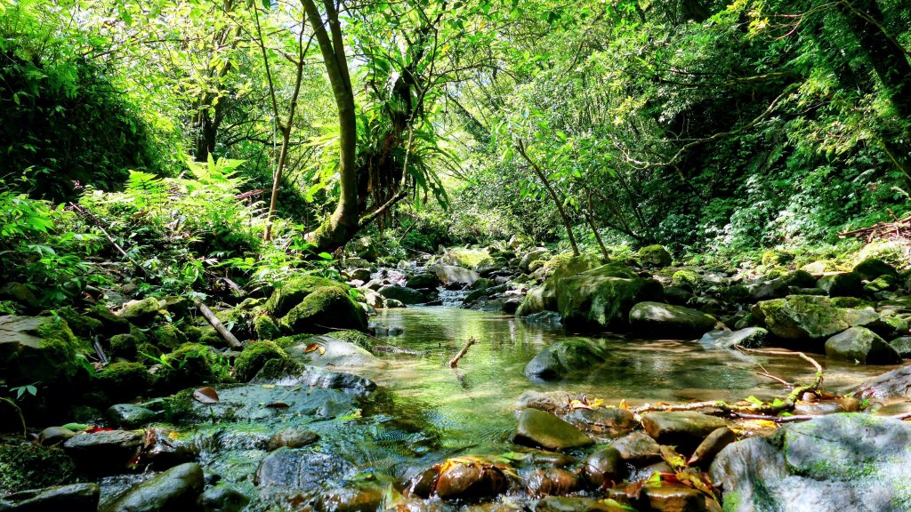 雙溪下坑古道封面圖
