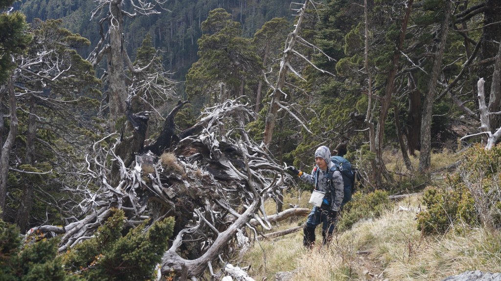 志佳陽雪山之毅_466024