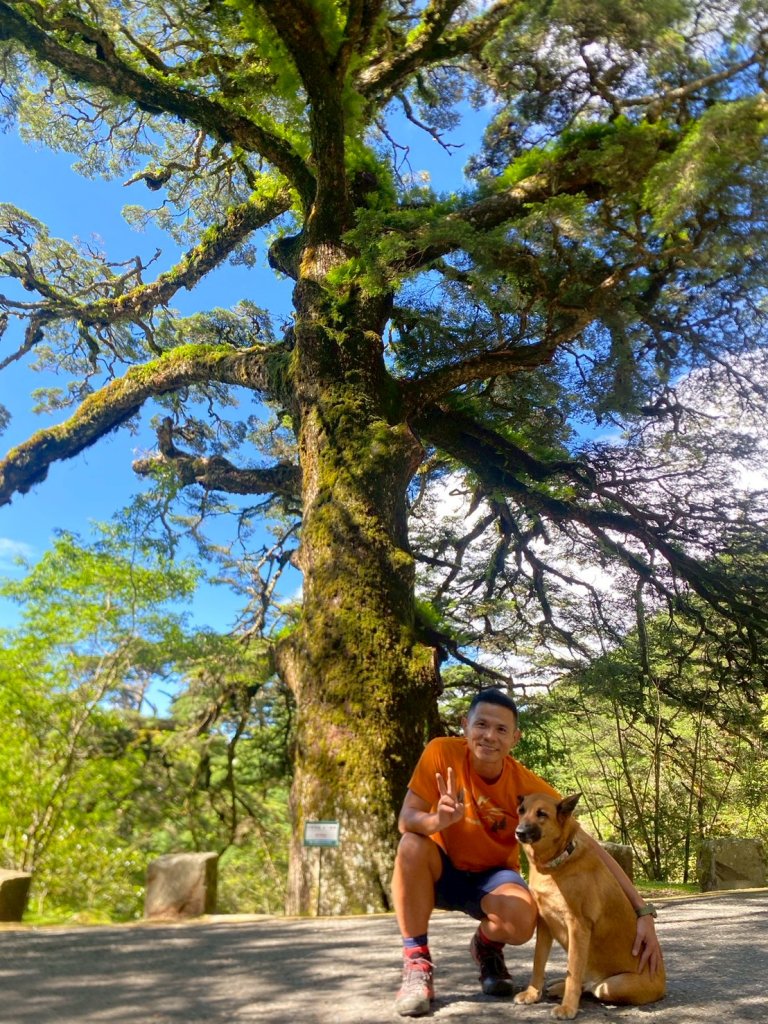 東埔山+東埔大草原步道【這裡的夏天冷颼颼】_2826494