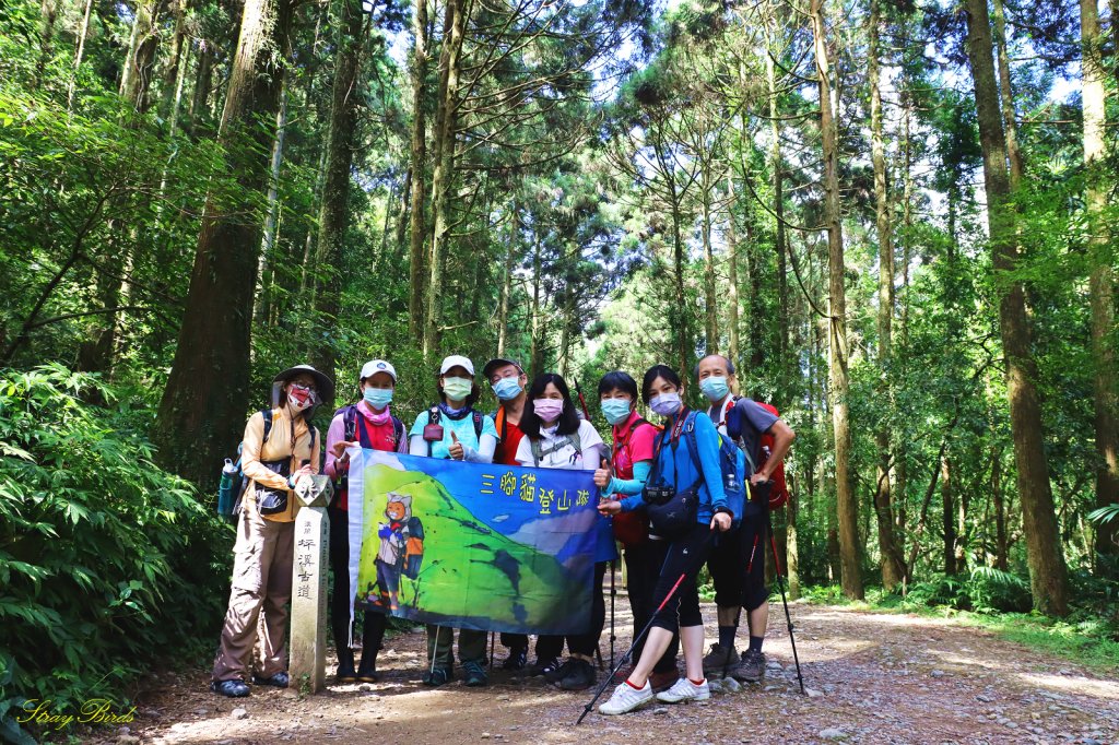 【淡蘭中路秘境】美得令人窒息的坪溪水路_1453321