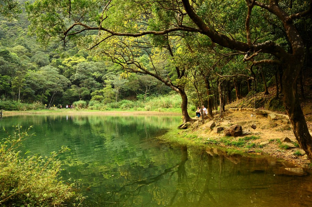 新山夢湖封面圖