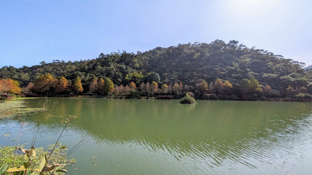 望龍埤,鎮頭山,蜊埤湖_2391842