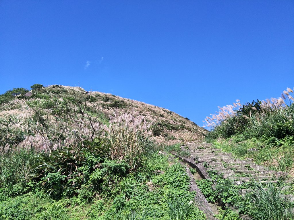 2018 11 30 雷霆峰步道(基隆山東峰、黃金一稜)&基隆山步道_469108