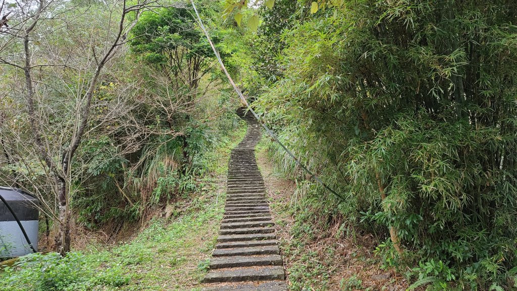 2020-1221 大崎崠登山步道_1214916