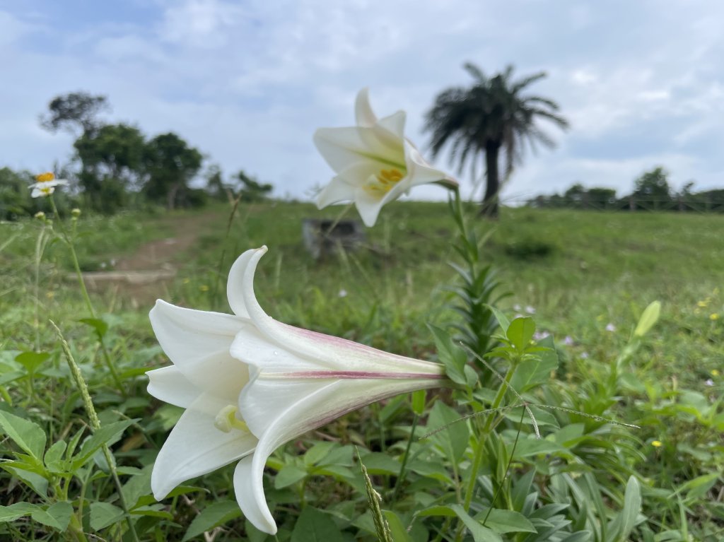 基隆的十八傘人家族_2782885