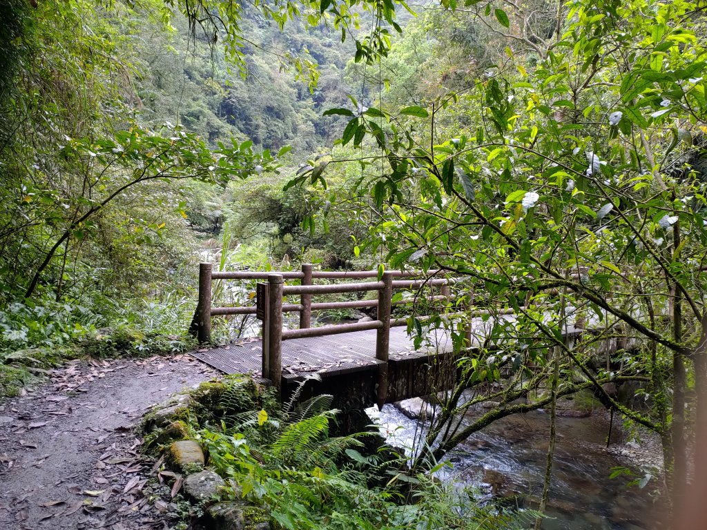 九寮溪步道_1319246