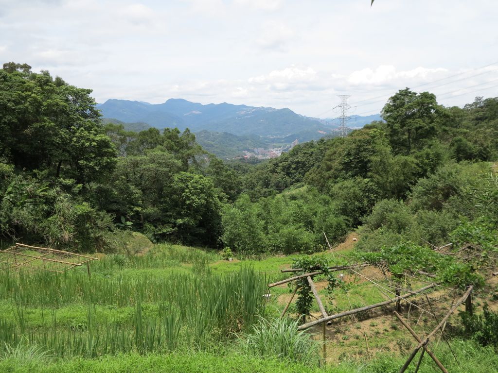 1060625銀河洞越嶺→政大後山_139322