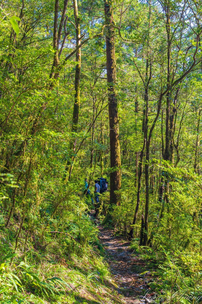 [宜蘭]松蘿湖_2663016